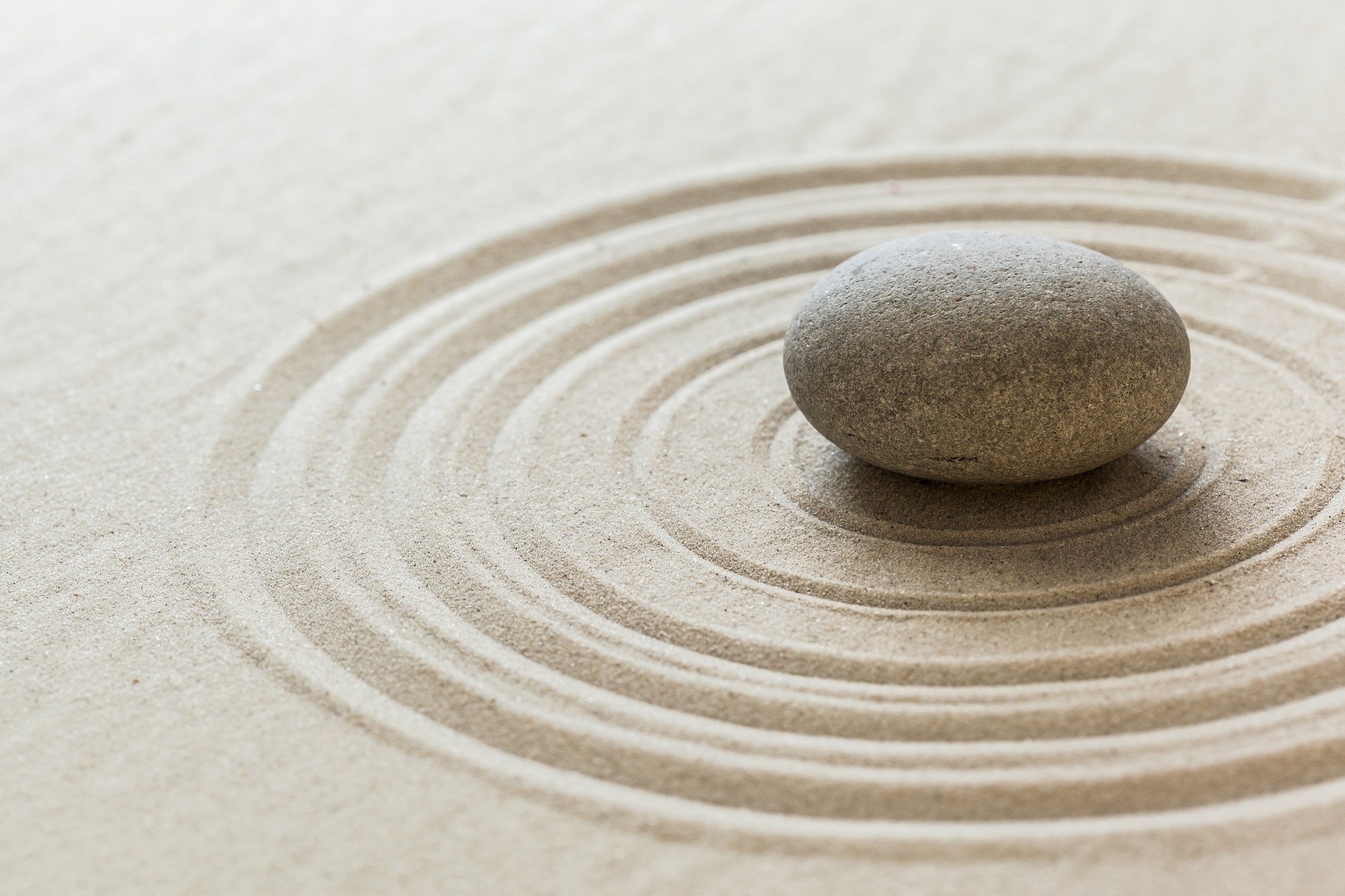 Zen stone garden